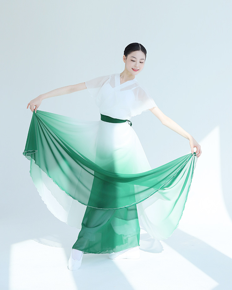 *Gradient Pull Skirt 2 Korea